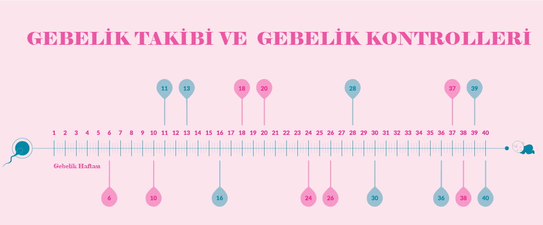 gebelik takibi nasıl olmalı